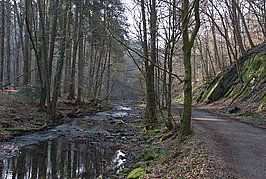 Bernhard Saalfeld - Dhuenn (3v9)